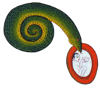 Chakra (Skt.  )